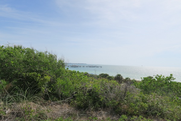 Sisters in Tampa: Day 3 (Fort De Soto Beach Sand Bar)