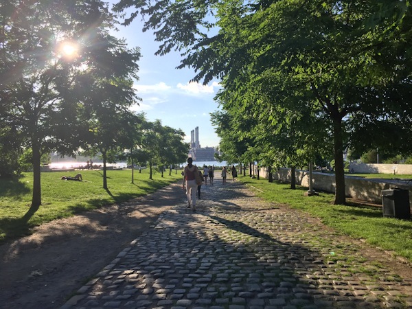 Cafe Mogador, Devocion Coffee, and Williamsburg Park