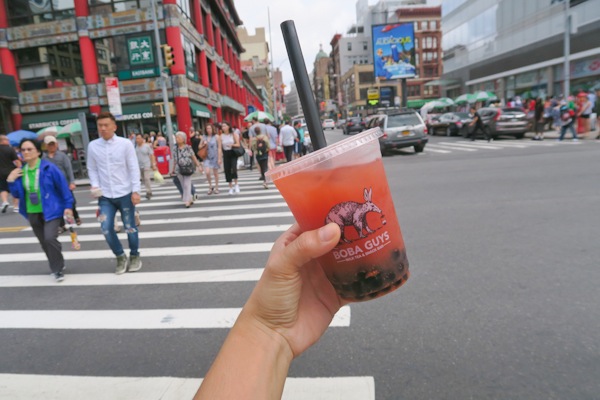 Sis Visits NYC: Boba Guys, Park Party, Westville, and Kulu (Part 2 of 2)