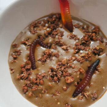 Looking for a scary treat to entertain your friends and family this Halloween? Here's a smoothie bowl that looks like dirt (complete with worms!), but tastes delicious. It even sneaks in a veggie serving! Try this clean eating recipe for a delicious healthy Halloween breakfast, snack, or even dessert! #recipe #halloweenfood #halloween #healthyrecipe #cleaneating #holidayrecipe