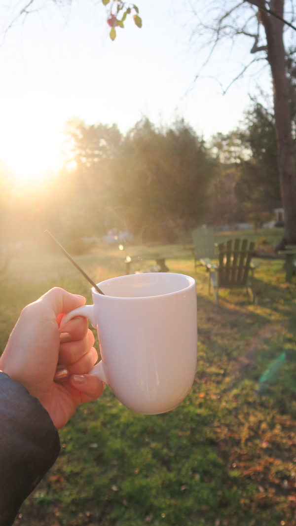 Asheville Hen Party Part 2 | Reynolds Mansion B&B Asheville, NC