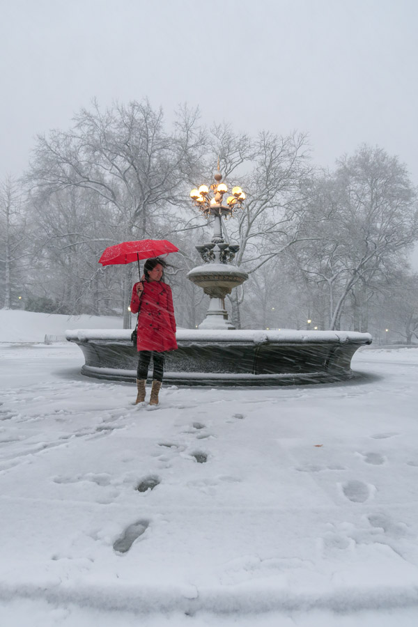 Central Park Snow and the Red Coat