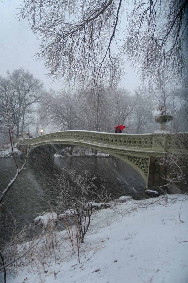 Central Park Snow and the Red Coat