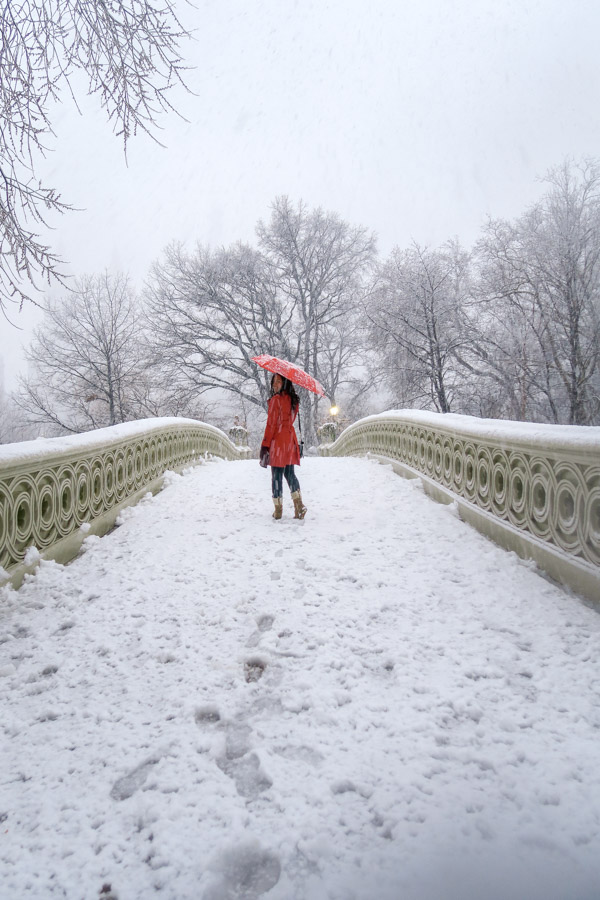 Central Park Snow and the Red Coat