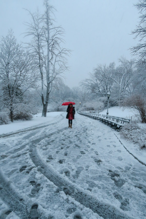 Central Park Snow and the Red Coat