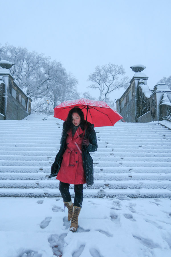 Central Park Snow and the Red Coat