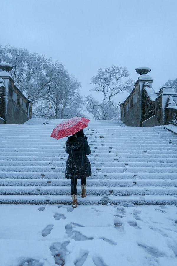 Central Park Snow and the Red Coat