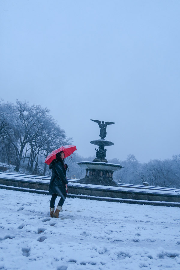 Central Park Snow and the Red Coat