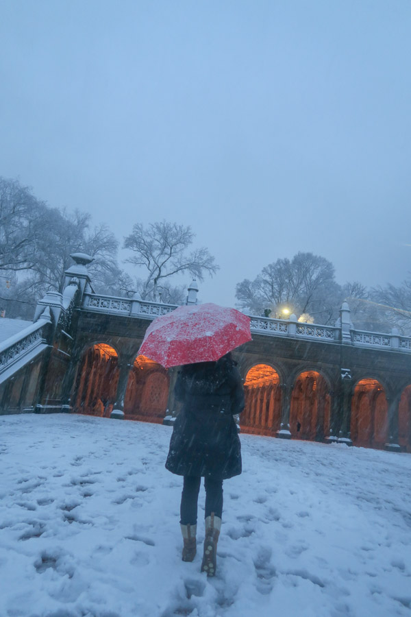 Central Park Snow and the Red Coat