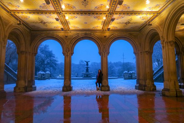 Central Park Snow and the Red Coat