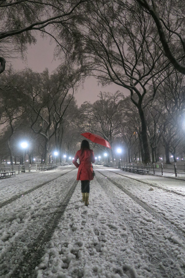 Central Park Snow and the Red Coat