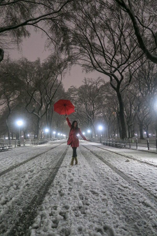 Central Park Snow and the Red Coat