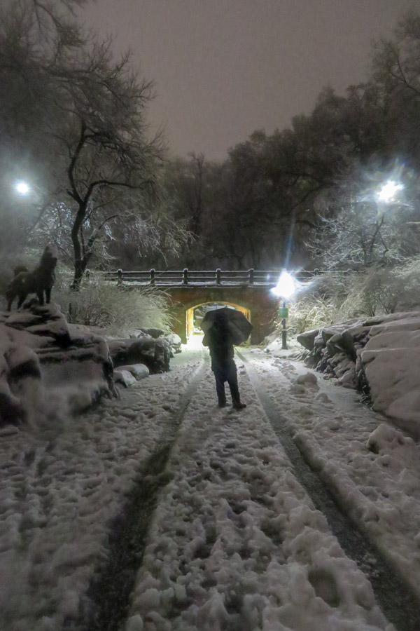 Central Park Snow and the Red Coat