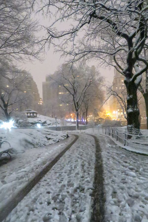 Central Park Snow and the Red Coat