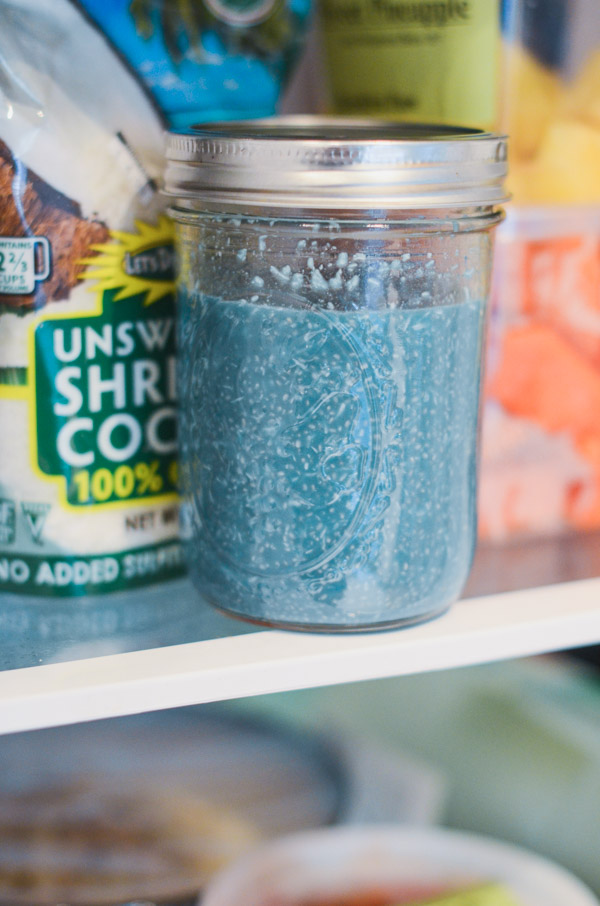 Coconut Chia Pudding Recipe with Blue Majick | Vegan, Paleo, and Keto