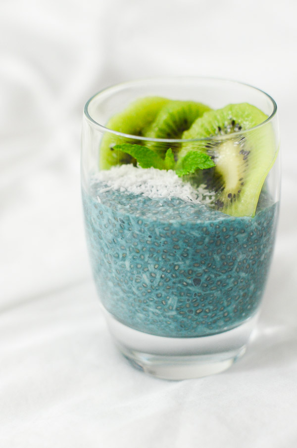 Coconut Chia Pudding Recipe with Blue Majick | Vegan, Paleo, and Keto