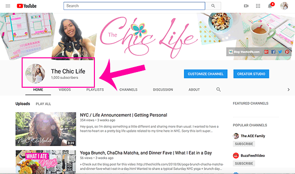 The Chic Life YouTube 1,000 Subscribers!