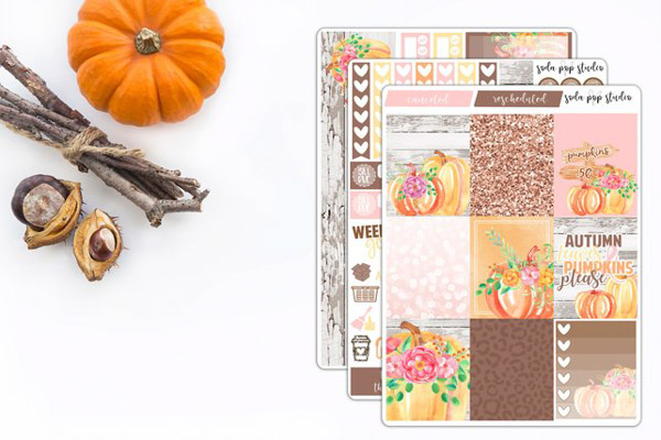 Here are 5 Gorgeous Fall Sticker Kits You Need for Your Planner 2018. These are made for the Erin Condren LifePlanner, but many of the Etsy shops have descriptions saying the stickers can work in almost any planner. Click for details! #erincondren #lifeplanner #planner #planning #erincondren #plannerdecorations #plannerideas 