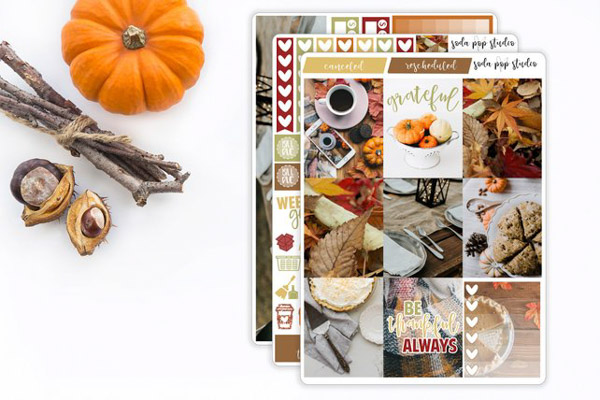 Here are 5 Gorgeous Fall Sticker Kits You Need for Your Planner 2018. These are made for the Erin Condren LifePlanner, but many of the Etsy shops have descriptions saying the stickers can work in almost any planner. Click for details! #erincondren #lifeplanner #planner #planning #erincondren #plannerdecorations #plannerideas 