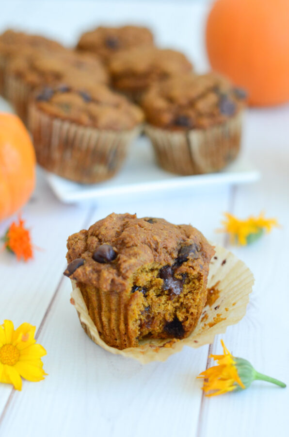 This healthy pumpkin chocolate chip whole grain muffins recipe will be available on my blog soon! Click through for an updated link, which will be added once the recipe is live. #recipe #fallfood #pumpkinrecipe #healthyrecipe #cleaneating