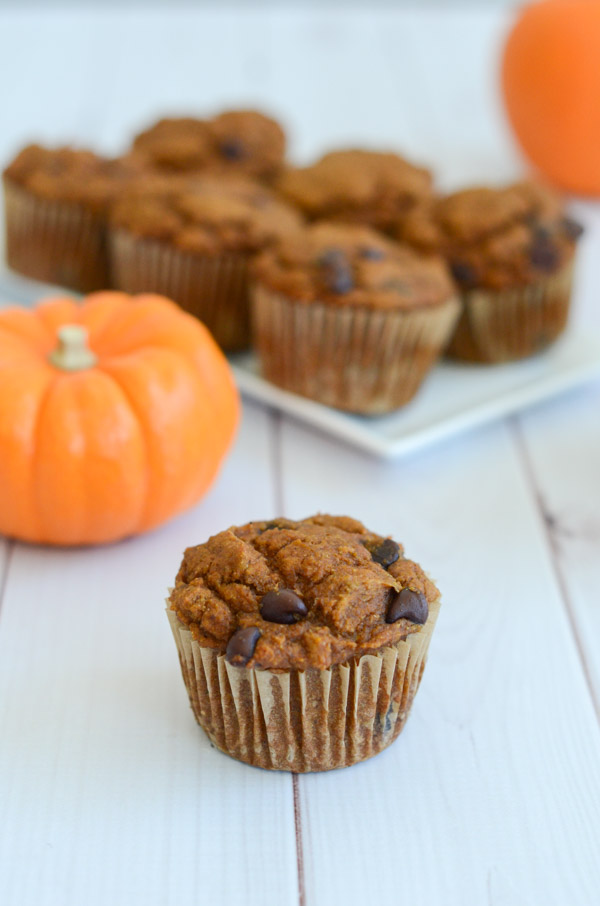 You won't believe these delicious muffins are healthy! Yes, Healthy Pumpkin Chocolate Chip Muffins. I have them on repeat for breakfast and dessert! This clean eating recipe is made with whole grain flour and is naturally vegan (though standard baking alternates are included) #recipe #healthy #healthyrecipes #healthyfood #cleaneating #recipe #realfood #vegan #veganrecipe