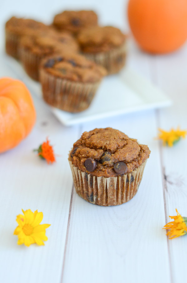 You won't believe these delicious muffins are healthy! Yes, Healthy Pumpkin Chocolate Chip Muffins. I have them on repeat for breakfast and dessert! This clean eating recipe is made with whole grain flour and is naturally vegan (though standard baking alternates are included) #recipe #healthy #healthyrecipes #healthyfood #cleaneating #recipe #realfood #vegan #veganrecipe