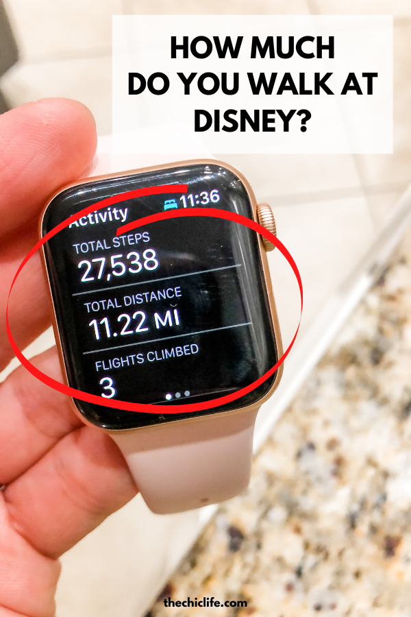 Apple Watch with Stats After Walking All Day at Epcot Disney World